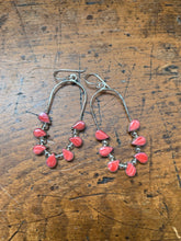 Load image into Gallery viewer, CORAL NAJA EARNINGS-222T1443-C
